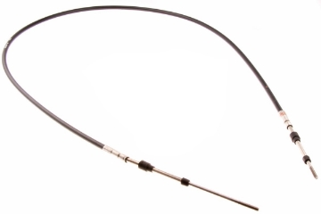 PictureAltAttribute - 535489301-jpg